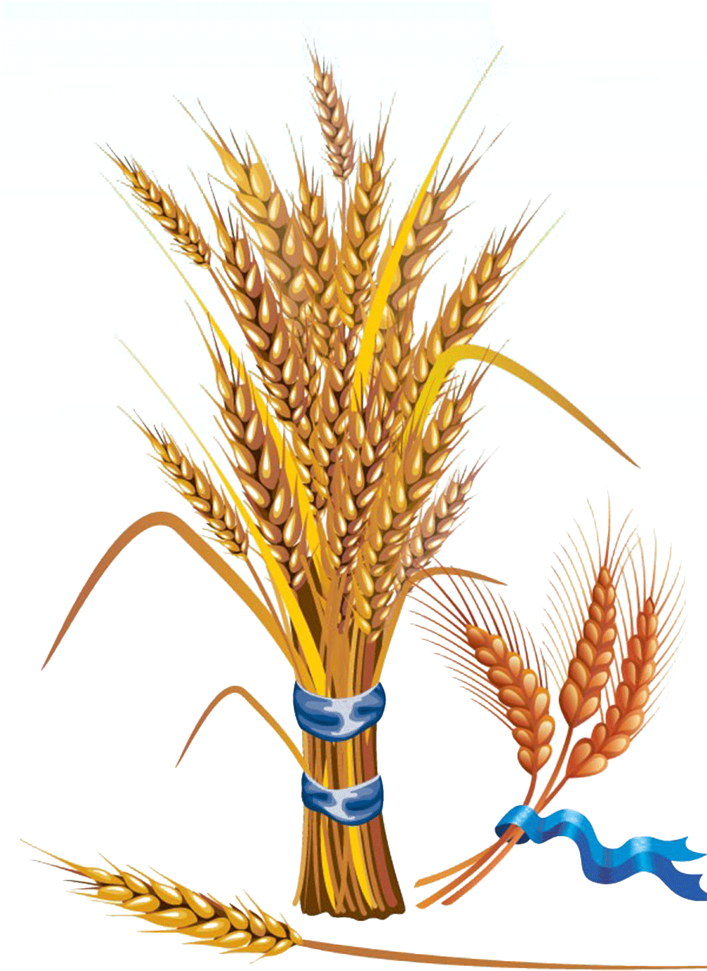 Golden Wheat Sheaves Vector PNG Image