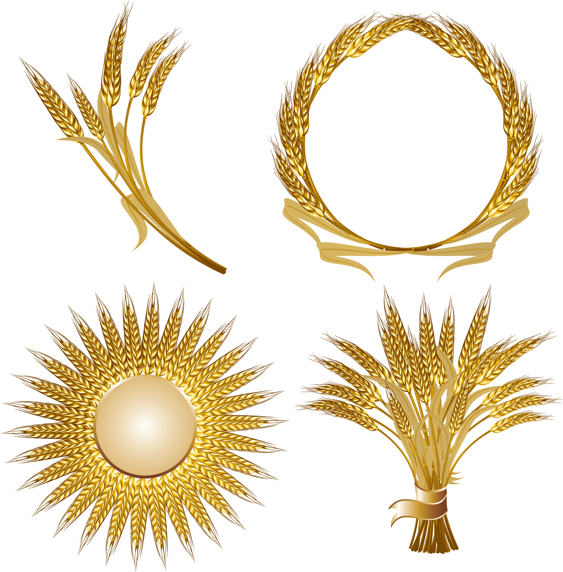 Golden Wheat Vector Design Elements PNG Image