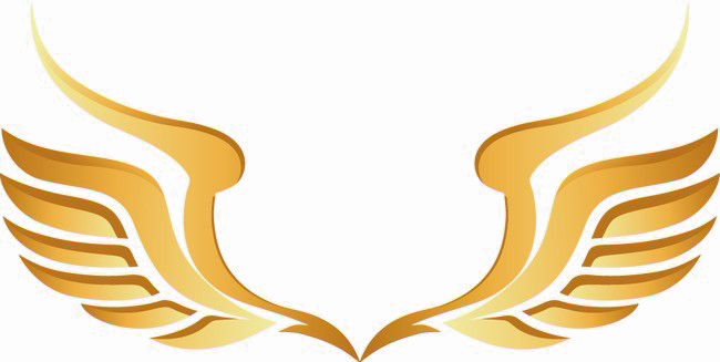 Golden Wings Logo Design PNG Image