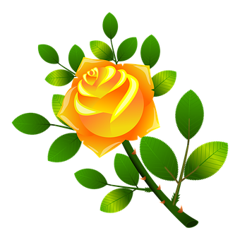 Golden Yellow Rose Vector Illustration PNG Image