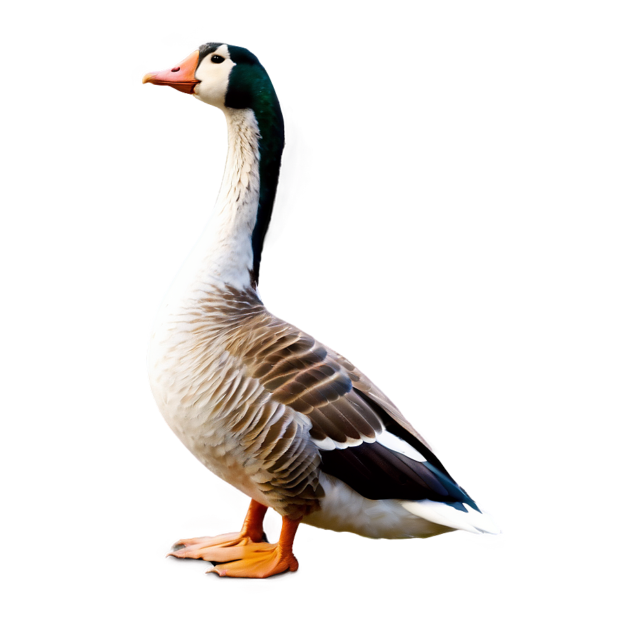 Goose Honking Sound Wave Png 70 PNG Image