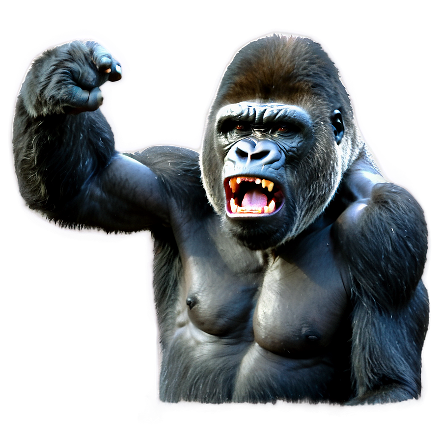 Gorilla Anger Expression Png Tbc71 PNG Image