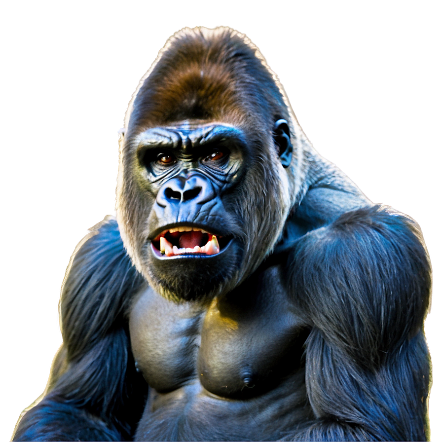 Gorilla Anger Pose Png 66 PNG Image