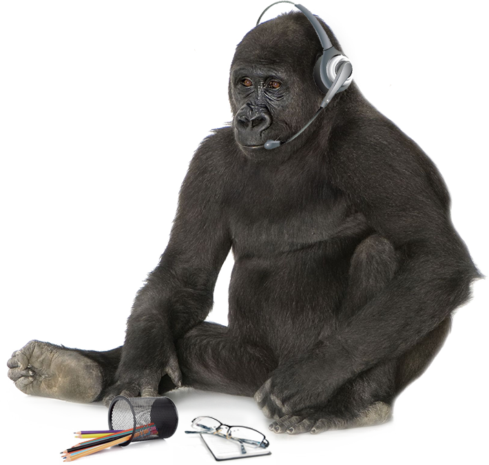 Gorilla Listening Music Headphones PNG Image