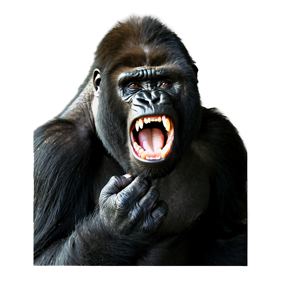 Gorilla Showing Teeth Png 06252024 PNG Image