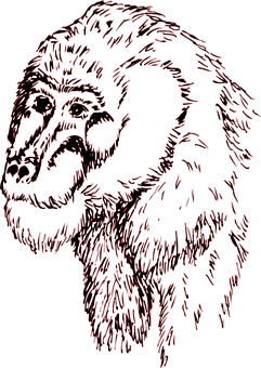 Gorilla Sketch Art PNG Image