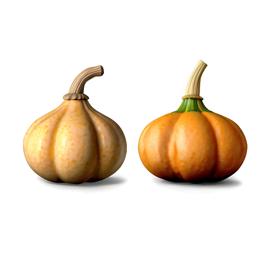 Gourd Collection Png Xio86 PNG Image