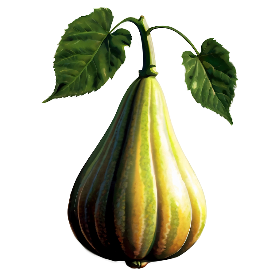 Gourd Plant Png Fqh PNG Image