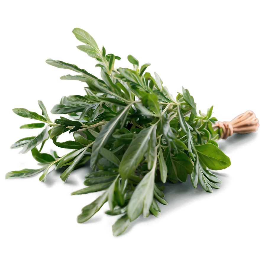 Gourmet Herb Png 98 PNG Image