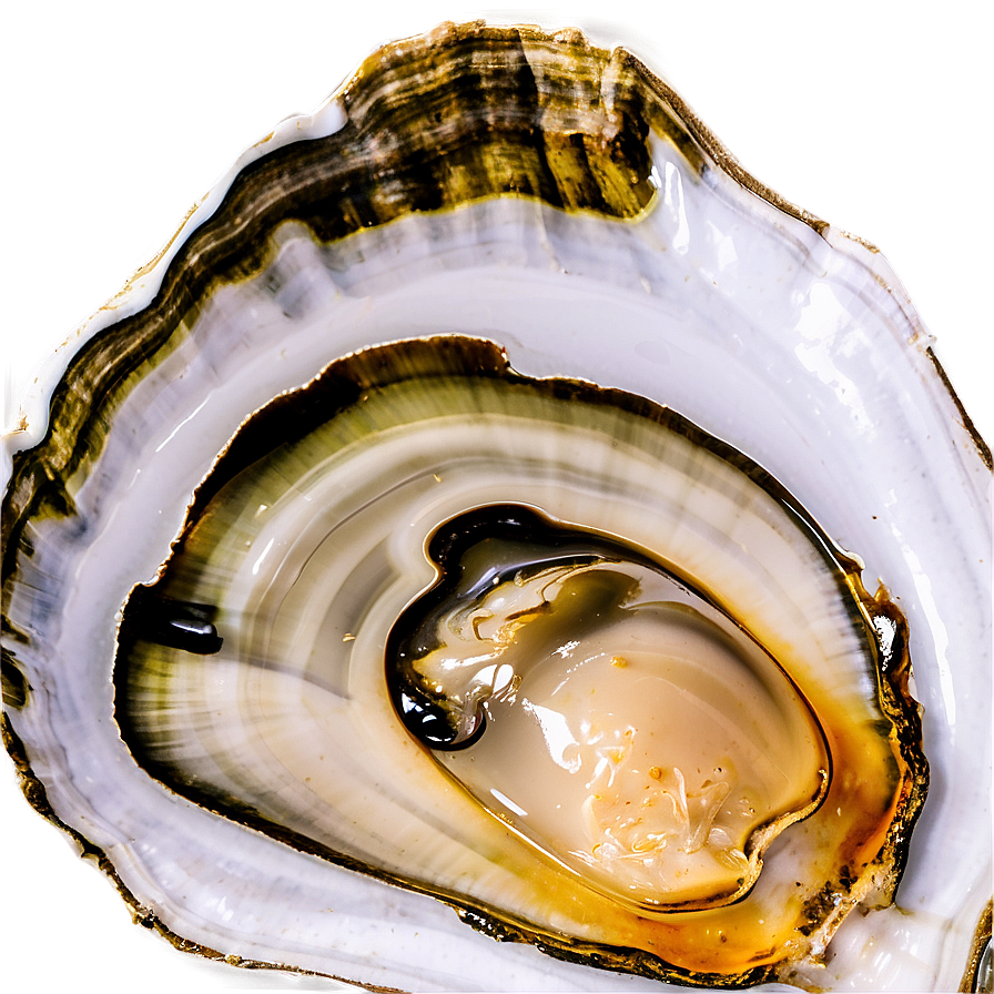 Gourmet Oyster Png 06122024 PNG Image