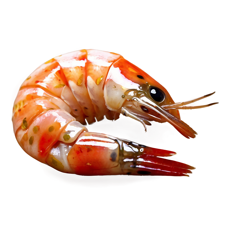 Gourmet Shrimp Png Kjk PNG Image