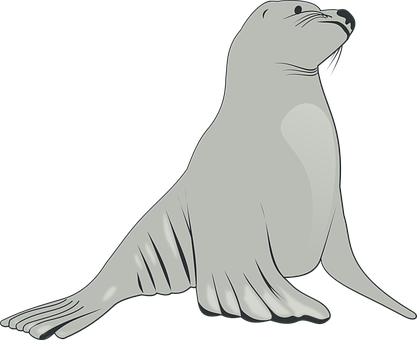 Graceful Seal Illustration PNG Image