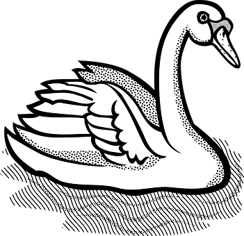 Graceful Swan Illustration PNG Image