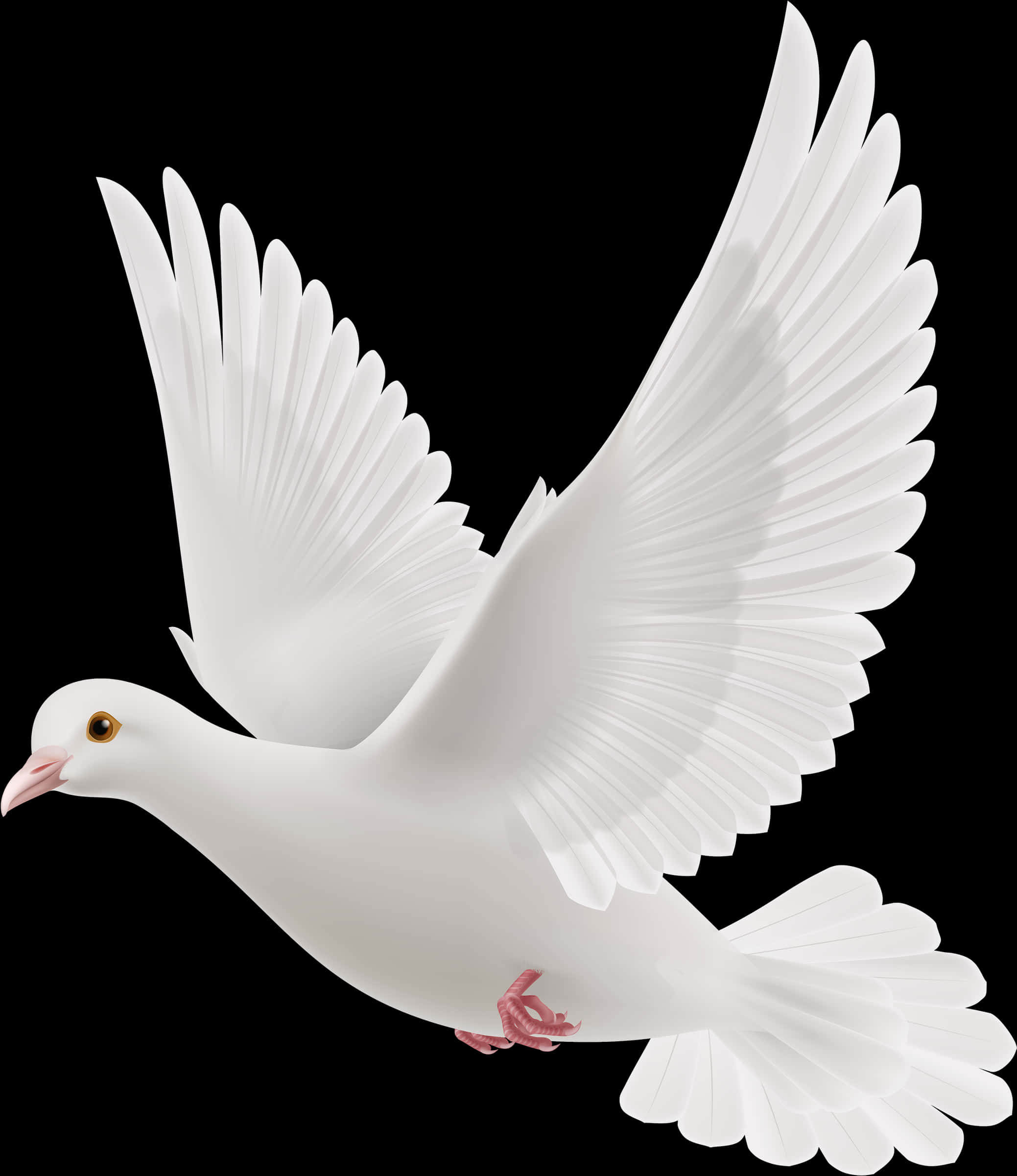 Graceful White Pigeon In Flight PNG Image