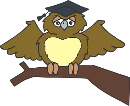 Graduate Owl Cartoon PNG Image