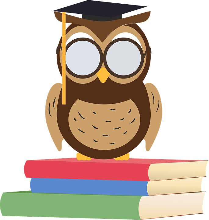 Graduate Owlon Books PNG Image