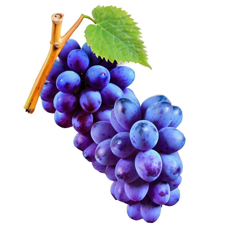 Grape Alone Png Alu36 PNG Image