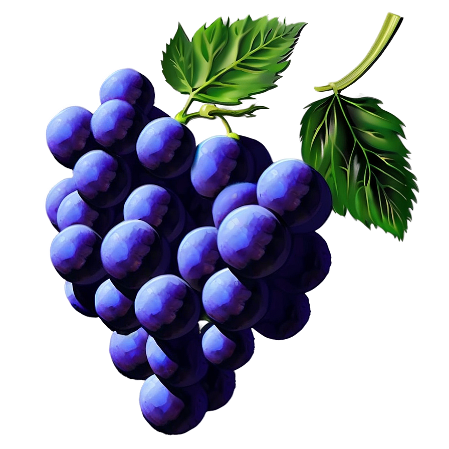 Grape Art Png Txy PNG Image