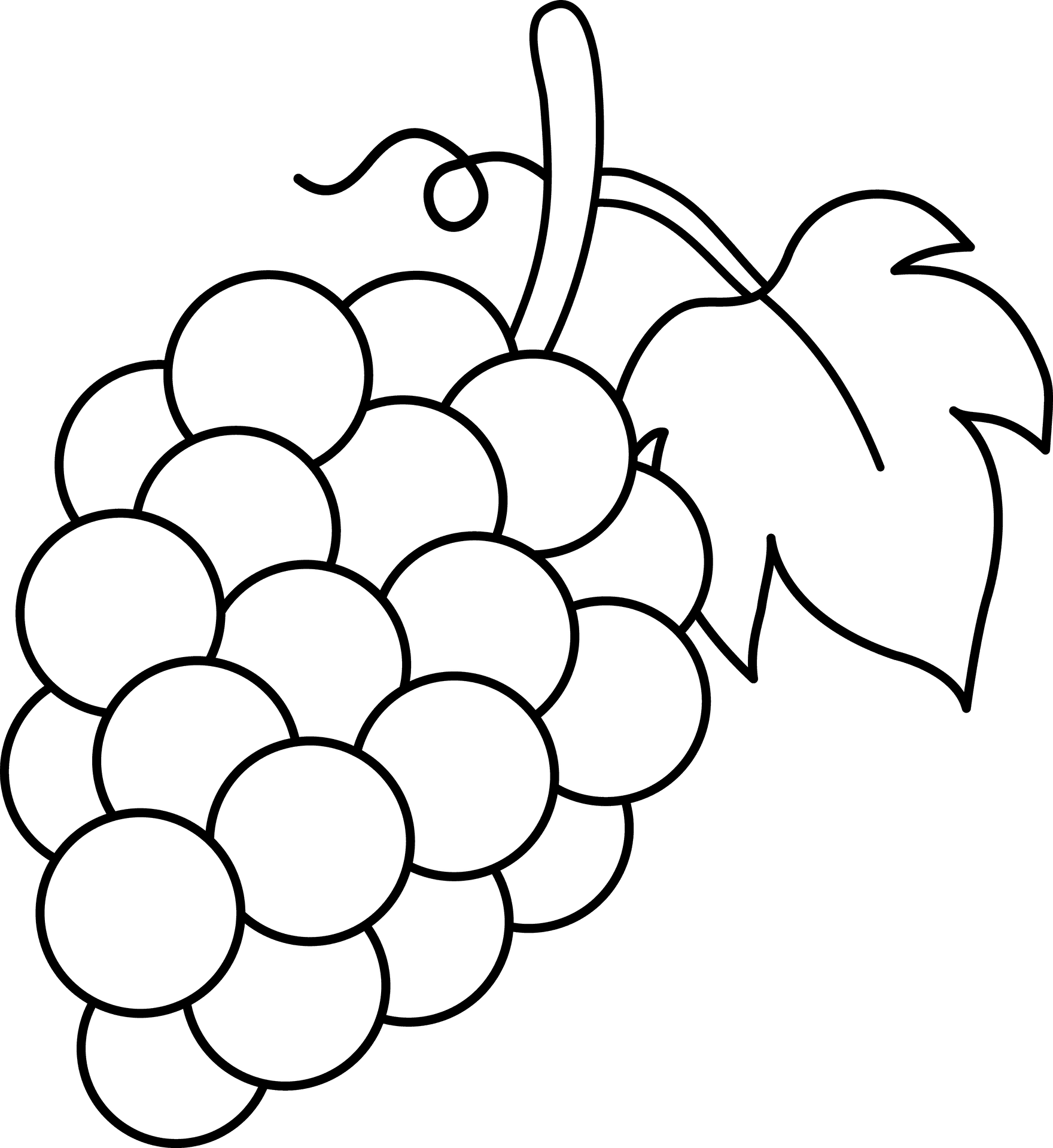 Grape Cluster Line Art PNG Image