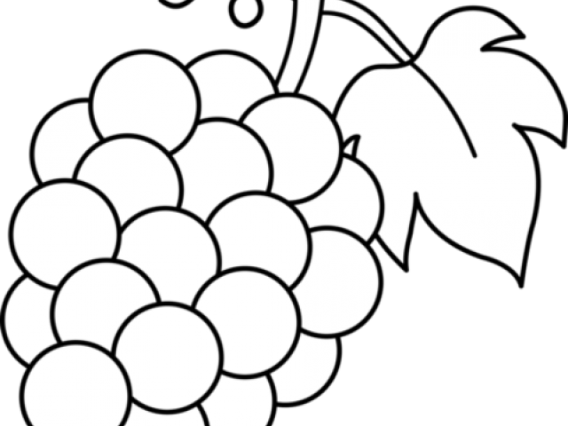 Grape Cluster Line Art PNG Image