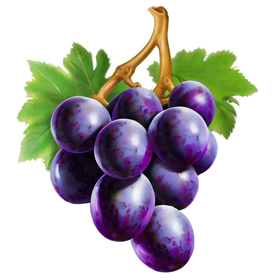 Grape Pattern Png 93 PNG Image