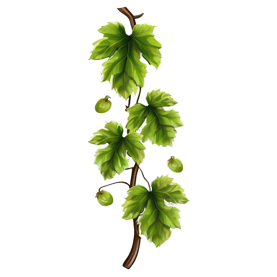 Grape Vine Border Png 67 PNG Image