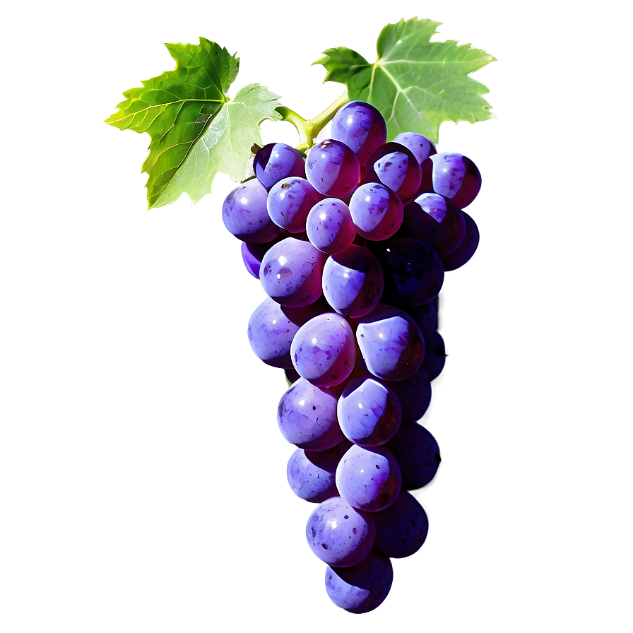 Grape With Shadow Png 06292024 PNG Image