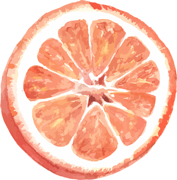 Grapefruit Slice Artistic Rendering PNG Image