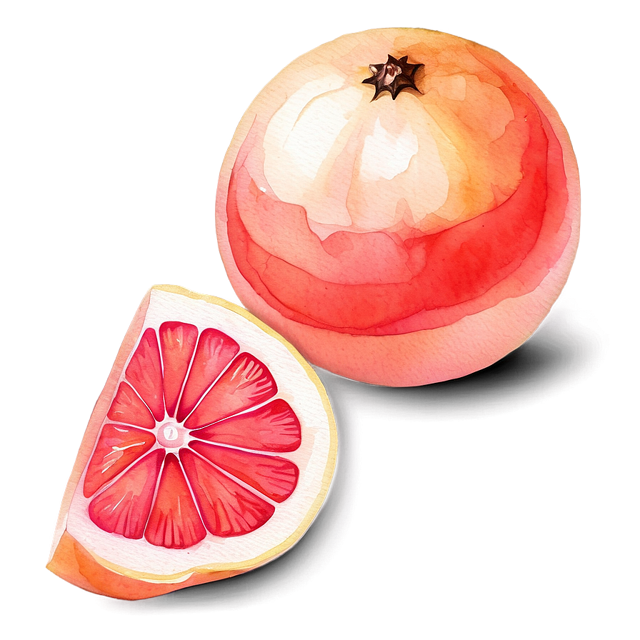 Grapefruit Watercolor Art Png 06122024 PNG Image