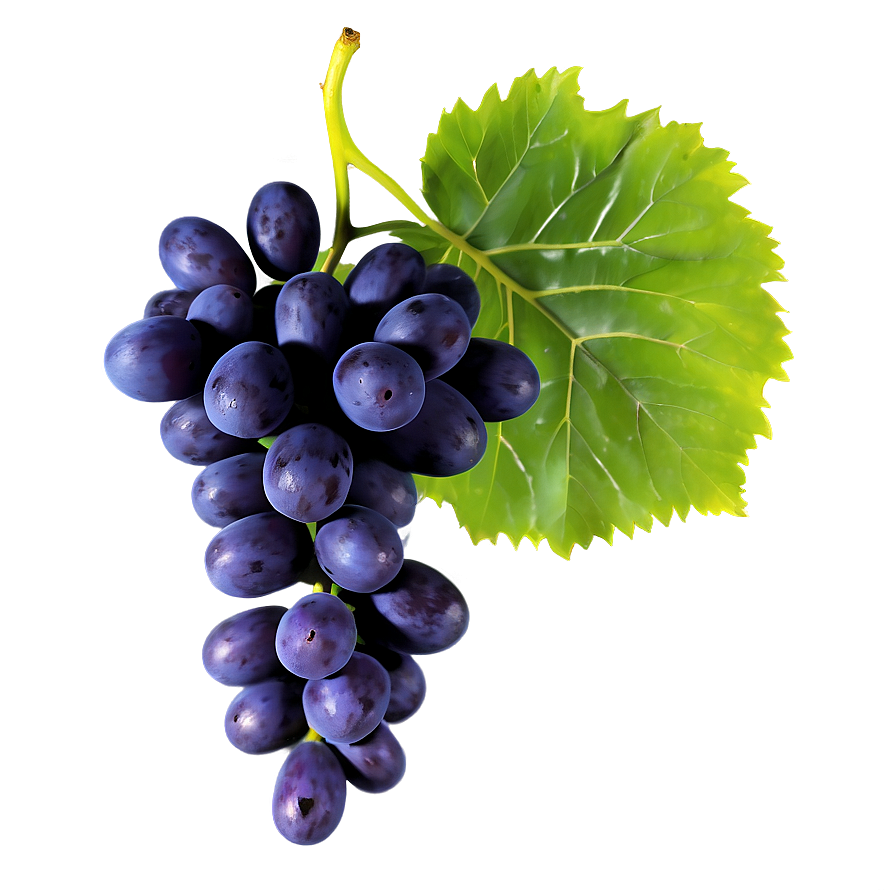 Grapes And Leaves Png 78 PNG Image