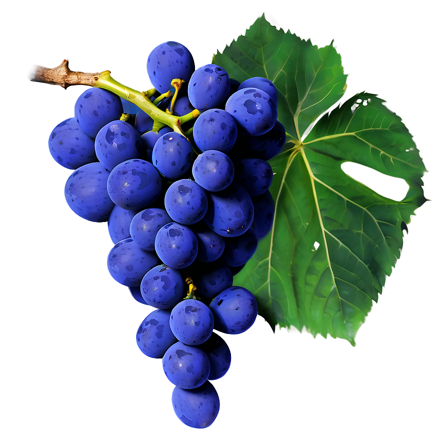 Grapes And Leaves Png Pra PNG Image