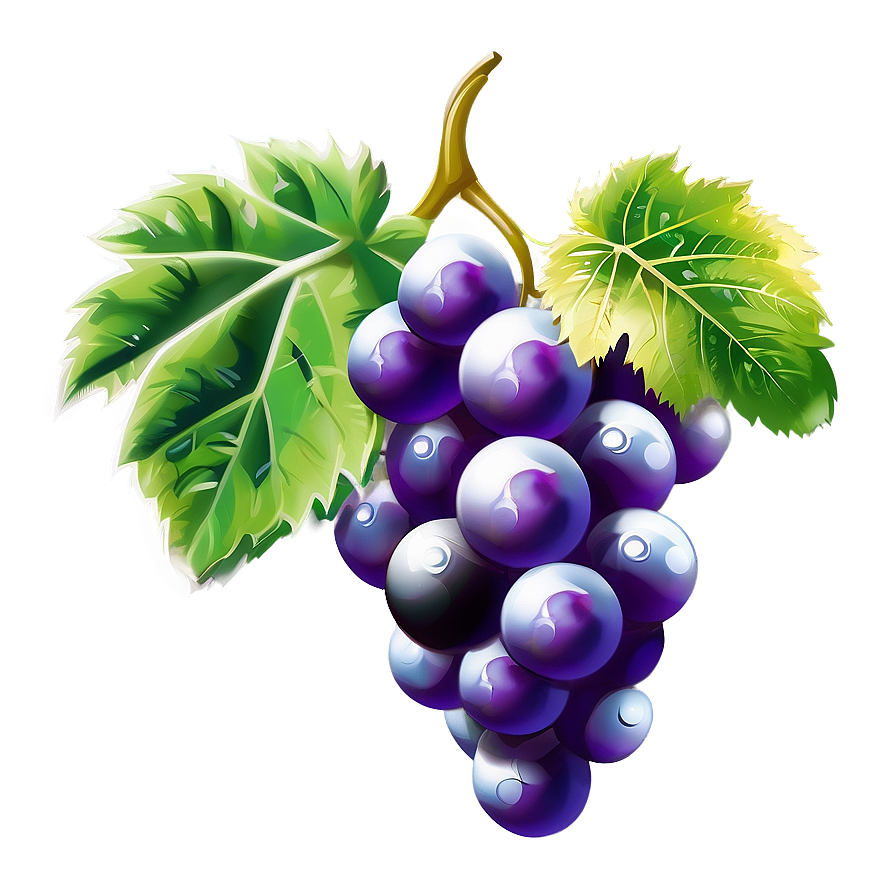 Grapes Art Png 97 PNG Image