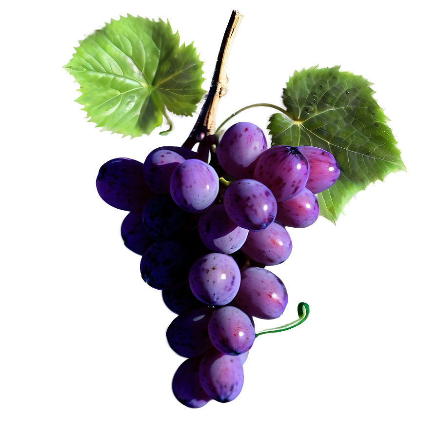 Grapes Art Png Rae PNG Image