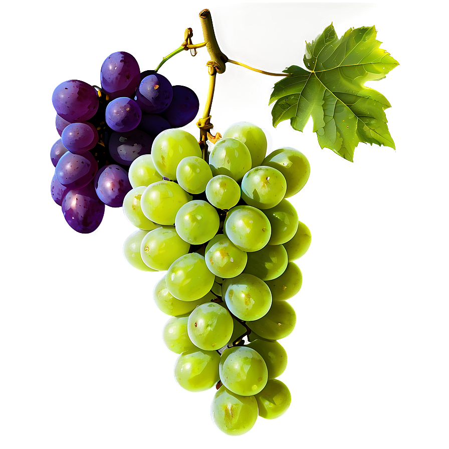 Grapes Background Png Udt77 PNG Image