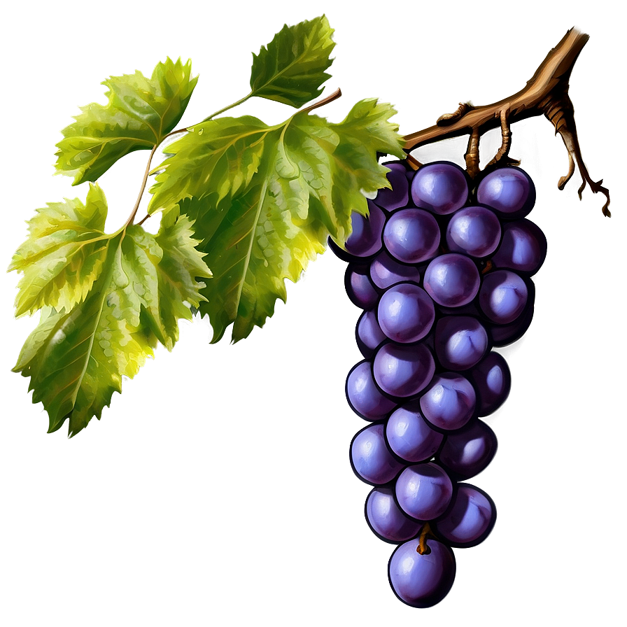 Grapes Branch Png Nnq PNG Image