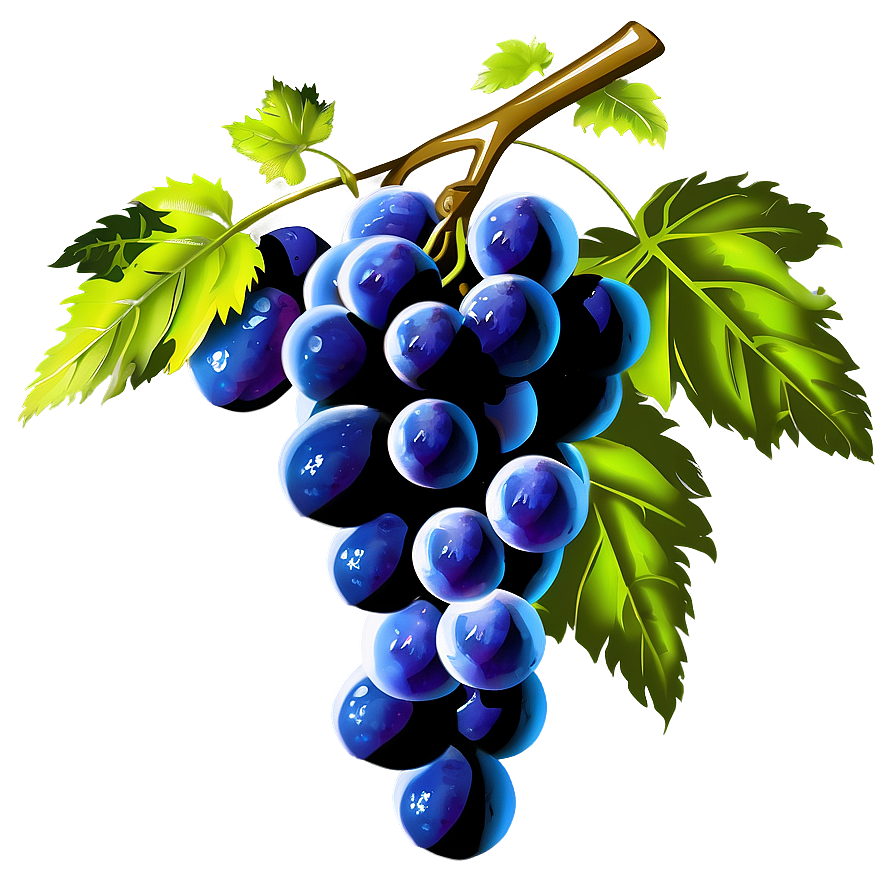 Grapes Cluster Png Mcj PNG Image