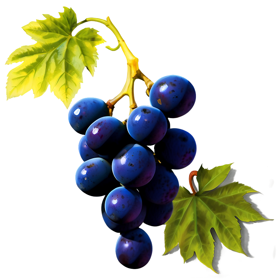 Grapes Cluster Png Rfp PNG Image