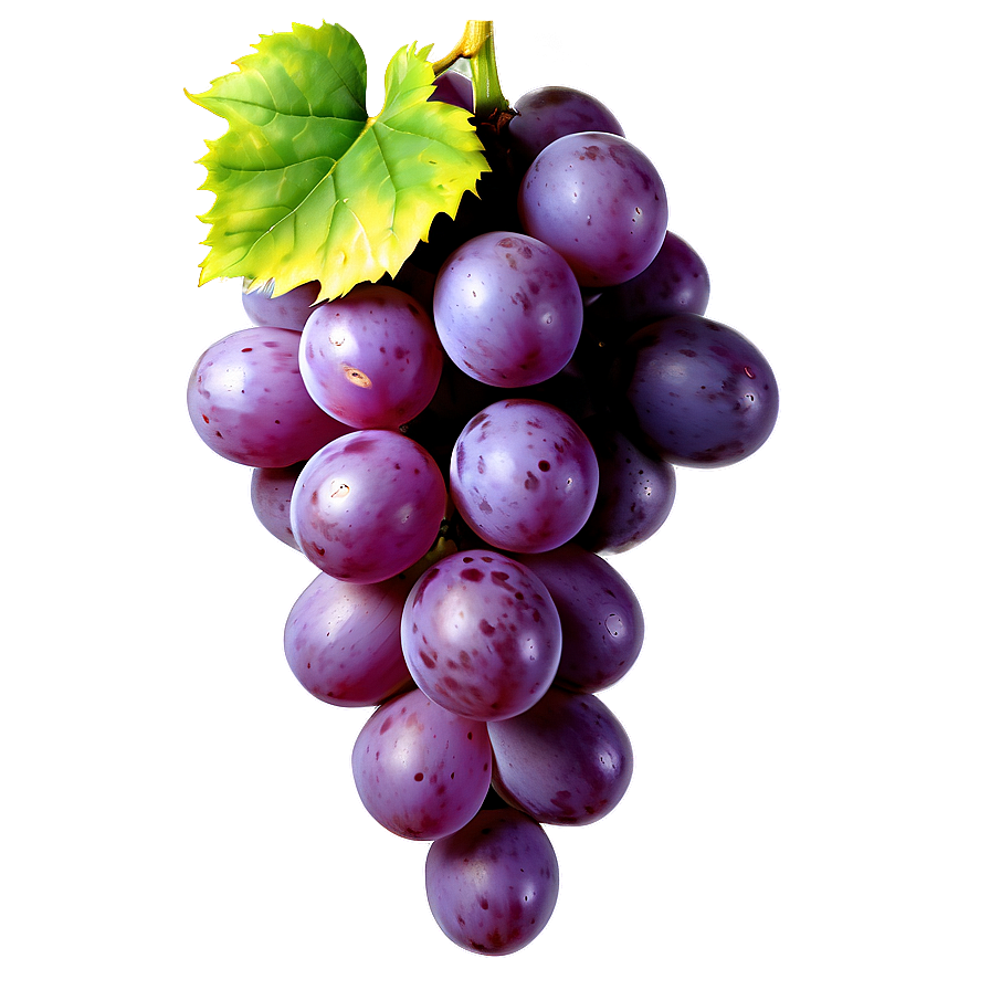 Grapes Decoration Png Fae PNG Image