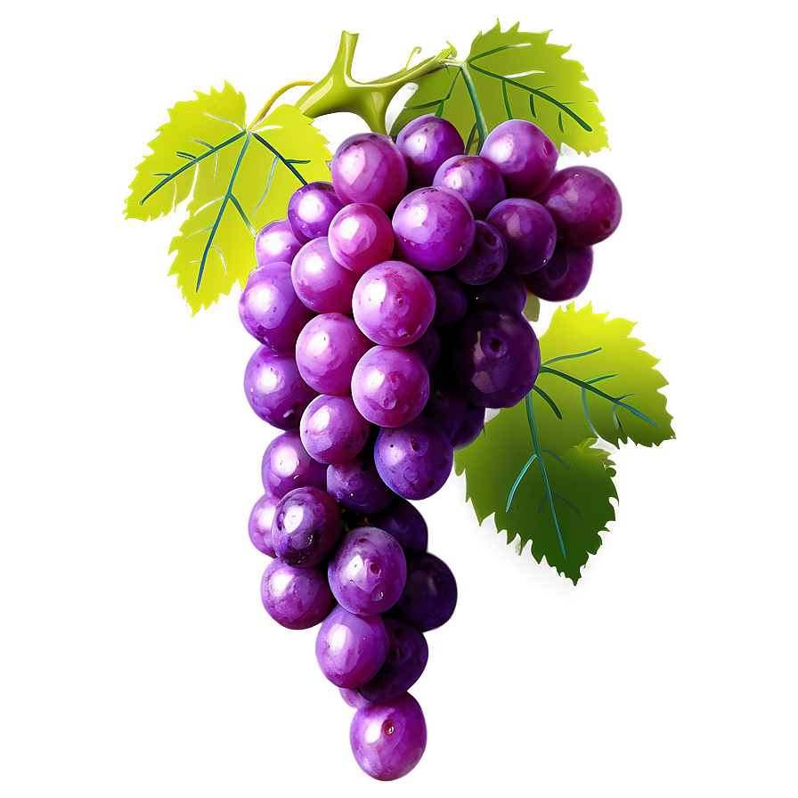 Grapes Decoration Png Lkr PNG Image