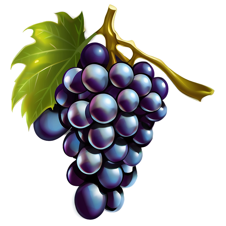 Grapes Illustration Png 59 PNG Image