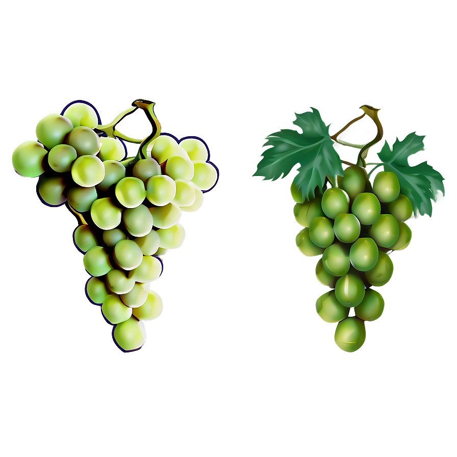 Grapes Outline Png 90 PNG Image