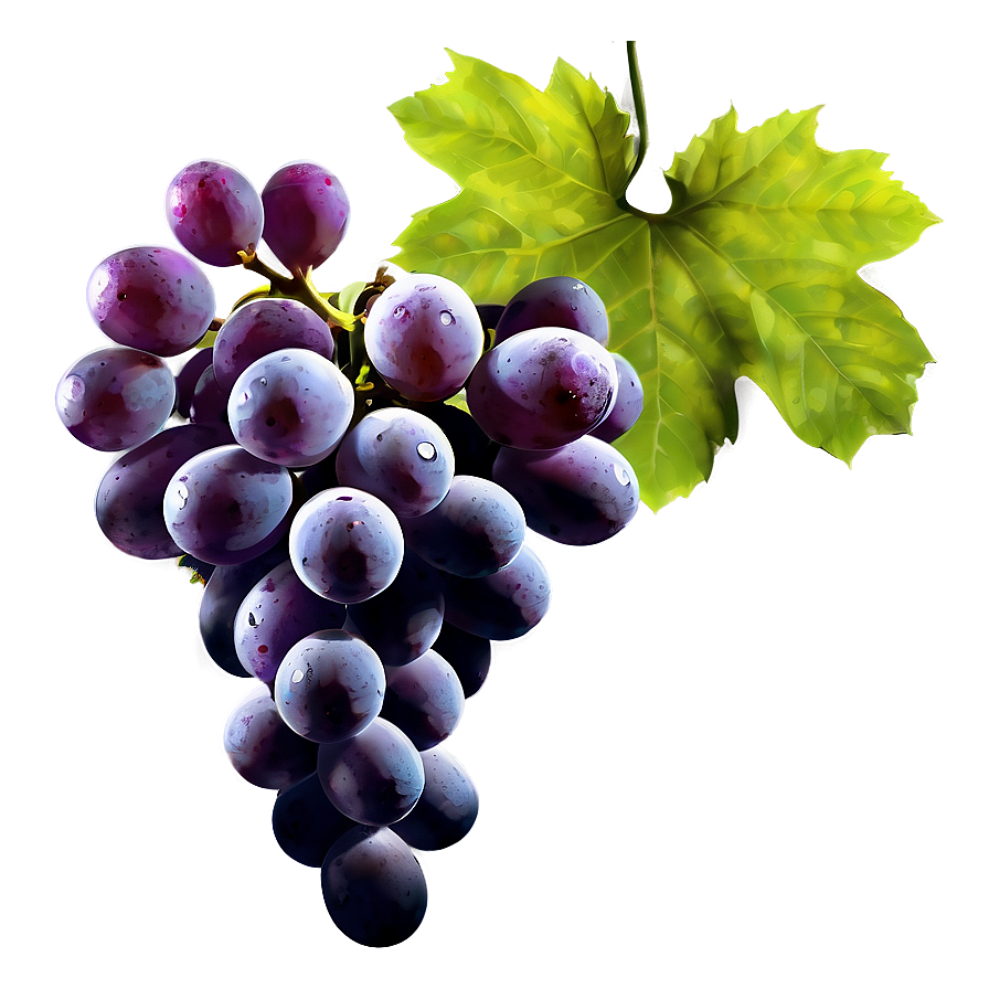 Grapes Silhouette Png Ypu4 PNG Image