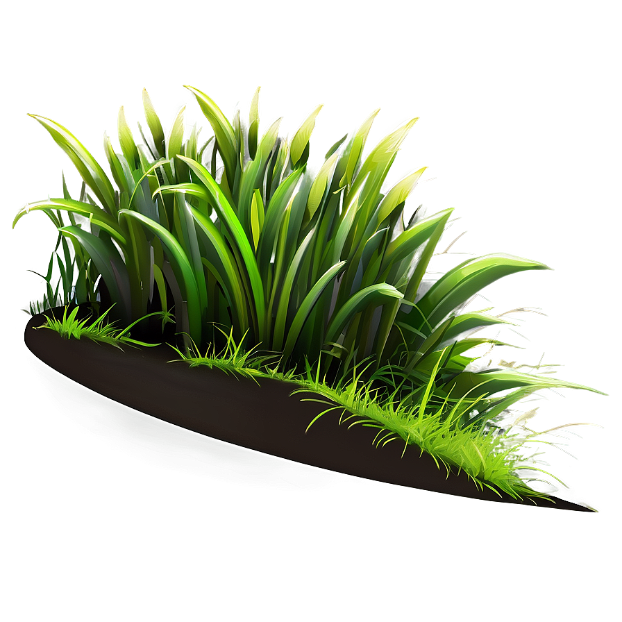 Grass A PNG Image