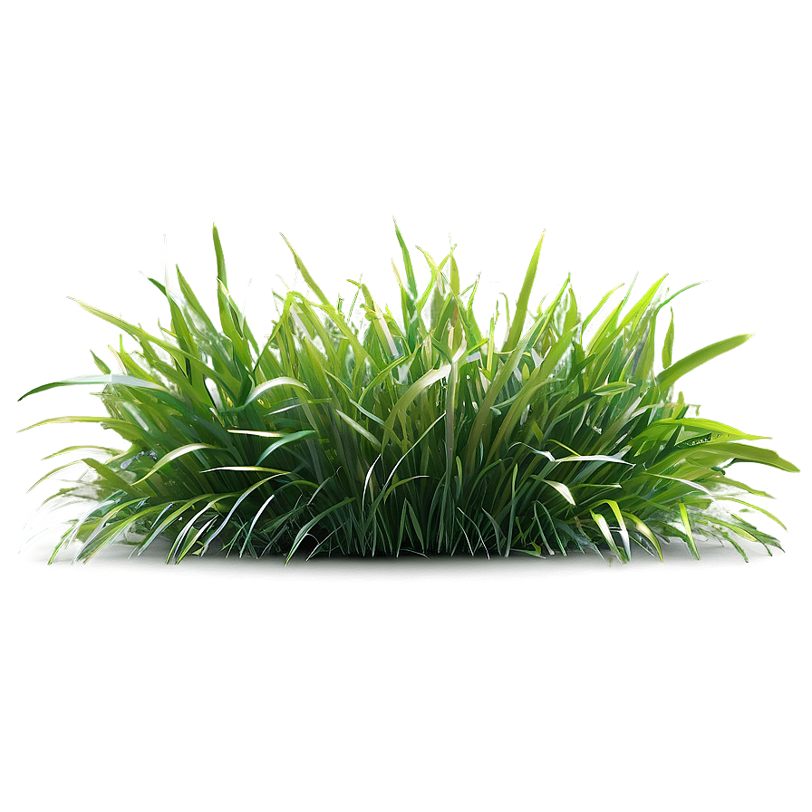 Grass B PNG Image