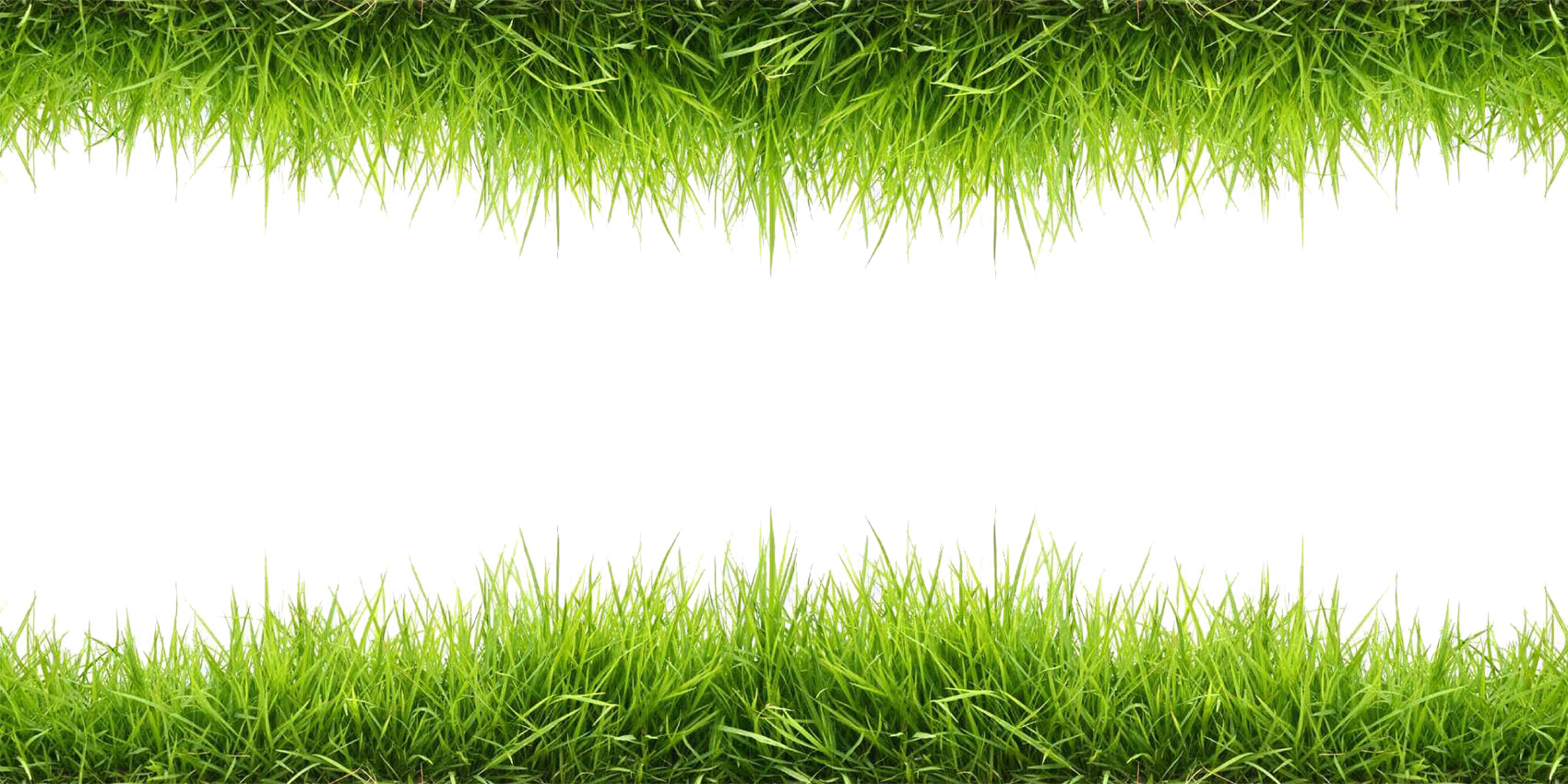 Grass_ Borders_on_ Gray_ Background.png PNG Image