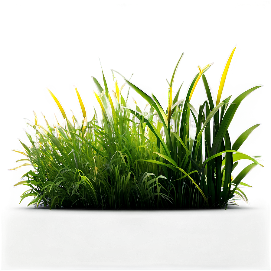 Grass D PNG Image