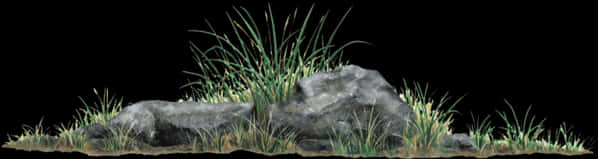 Grassand Rocks Isolatedon Black PNG Image