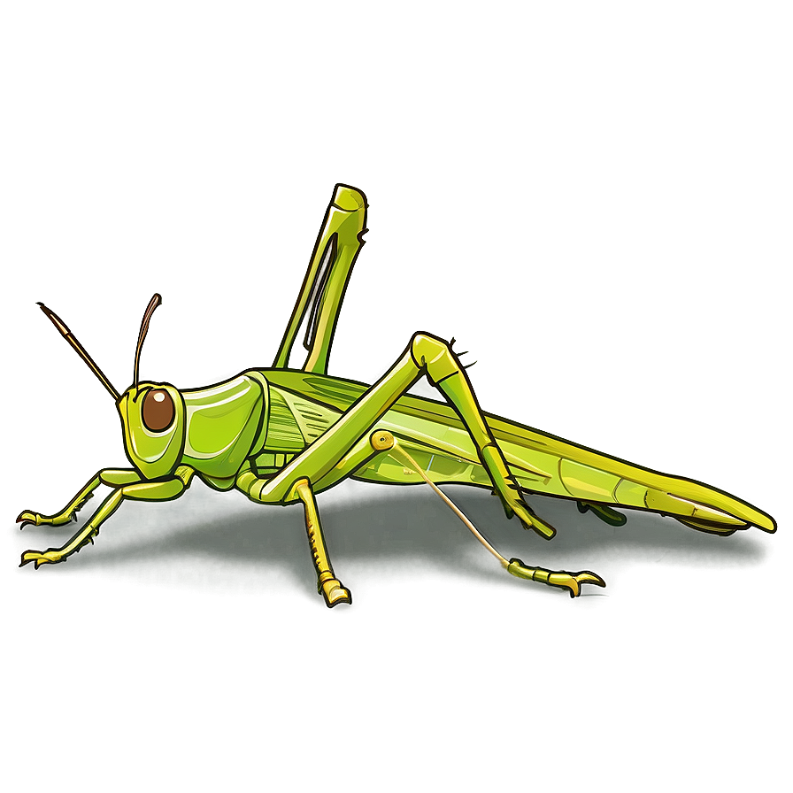 Grasshopper Sketch Png 37 PNG Image