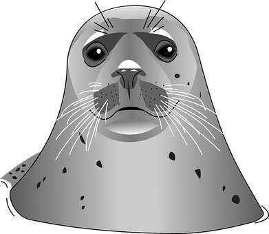 Gray Seal Vector Illustration PNG Image