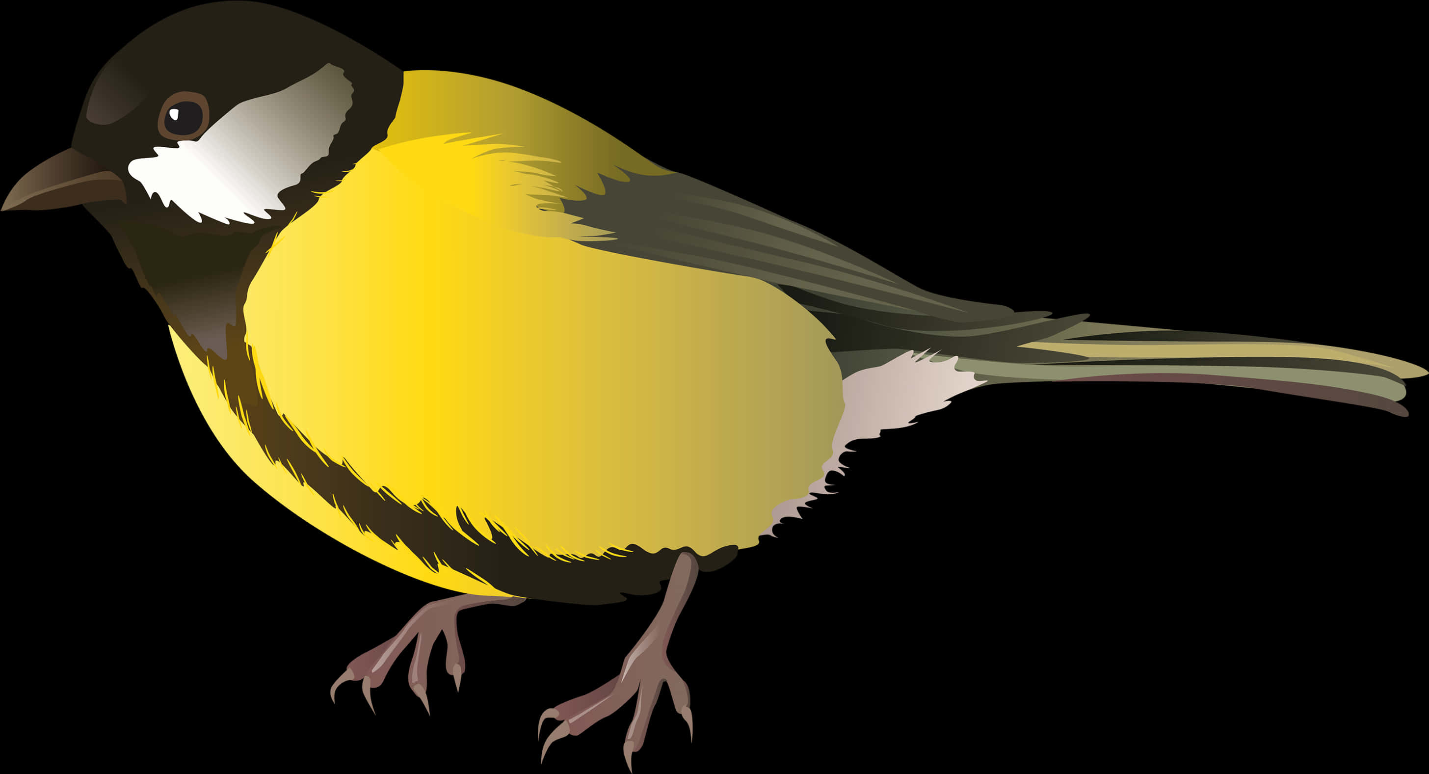 Great_ Tit_ Illustration_ Vector PNG Image